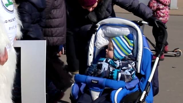 Рольф Сокольники