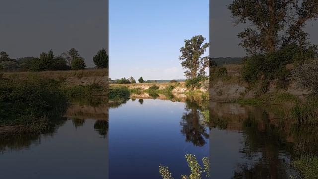 КАК УХАЖИВАТЬ ЗА ДЕРЕВЬЯМИ КУСТАМИ БЕЗ КАКОЙ ЛИБО ХИМИЯ смотреть онлайн