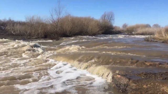 4 мая 2018 г. смотреть онлайн