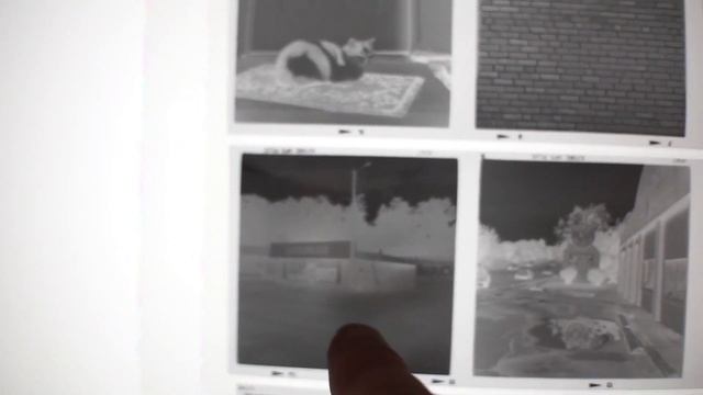 NEW CAMERA: Testing a Zeiss Ikon Nettar смотреть онлайн