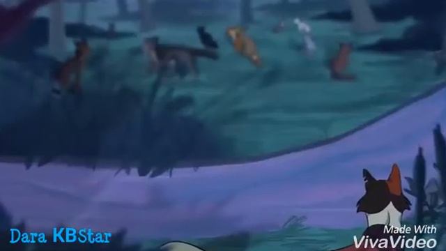 [Warriors Cats] | Коты Воители | Кленовница | Любви точка нет смотреть онлайн