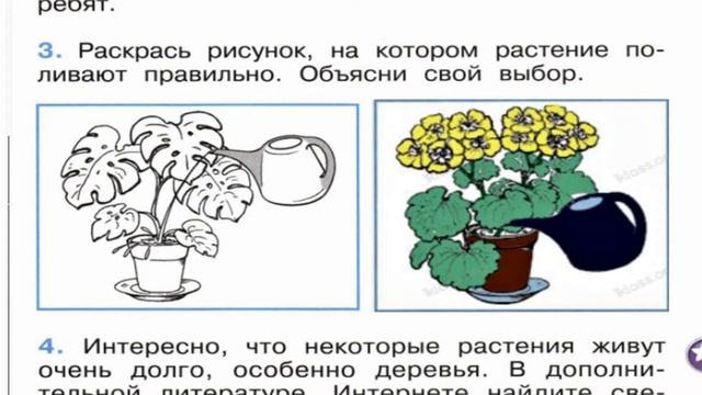 Окружающий мир. Рабочая тетрадь 1 класс 1 часть. ГДЗ стр. 49 №3 смотреть онлайн