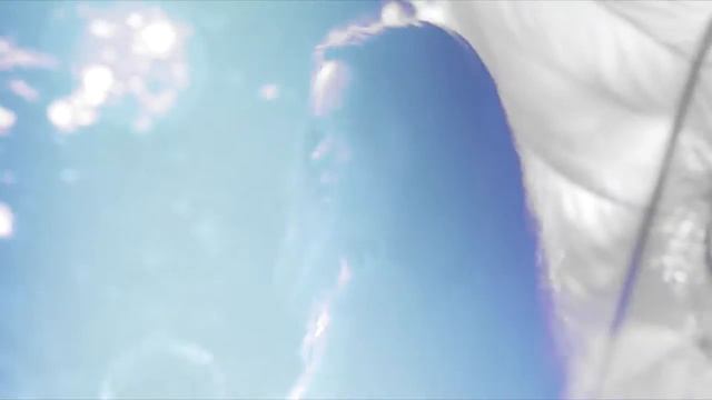 Summer Glau // I don't dance... I echo. ♡ смотреть онлайн