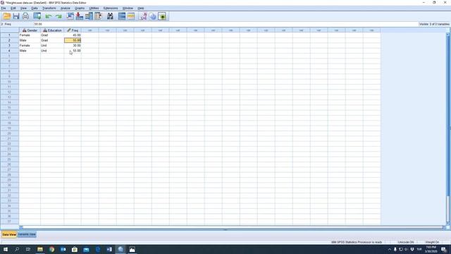 2 - Menu Options at the top of SPSS window смотреть онлайн