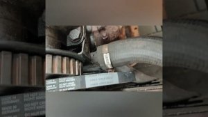 ЗАМЕНА РЕМНЯ ГРМ ОПЕЛЬ КАДЕТ 1988 Г.В. 1,3 БЯНЗИН ТЧК