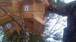 пристрелка коллиматорного прицела из китая
