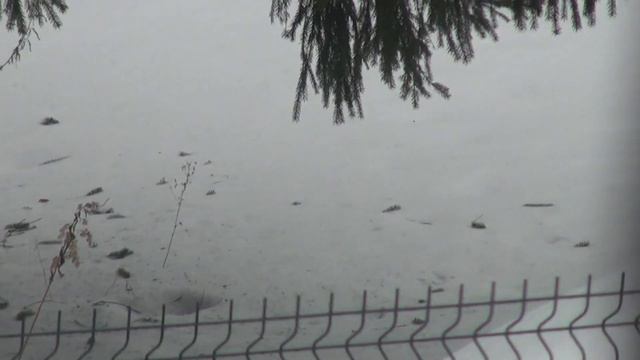 И они тянутся к человеку смотреть онлайн