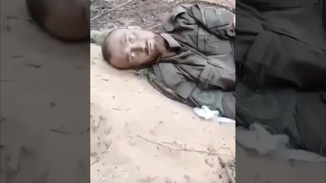 "И жёлто-голубому цвету я всегда предпочитаю красный..." смотреть онлайн