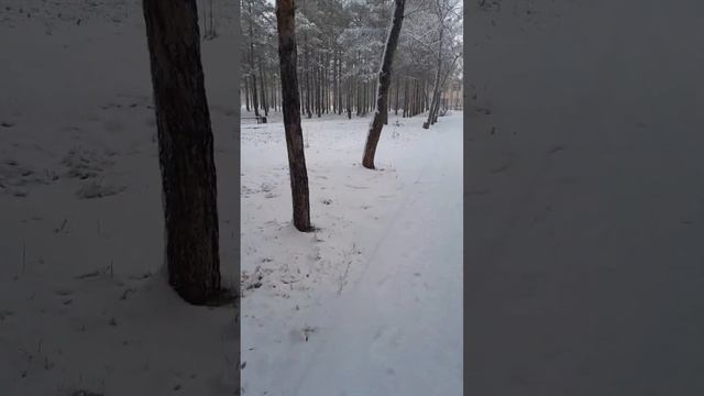природа и человек 88 снегопад в парке смотреть онлайн