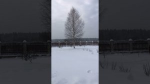 Любите зиму?