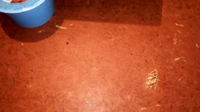 Отзыв про чай 