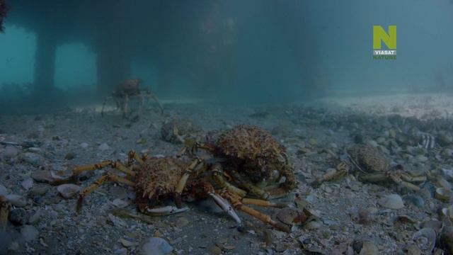 2 смотреть онлайн