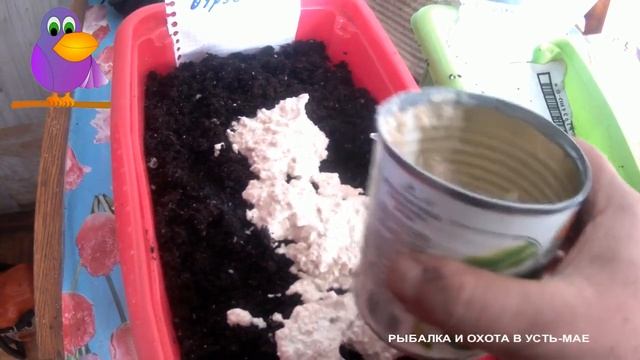 ПЕРВОЕ КОРМЛЕНИЕ ПОСЛЕ ЗАСЕЛЕНИЯ!!! 1)))КАЛИФОРНИЙСКИЙ ЧЕРВЬ!!! смотреть онлайн