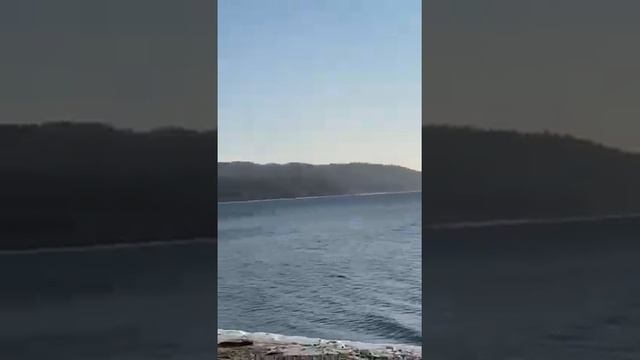 п.Руднево.Приморский край .в/ч 41779 смотреть онлайн