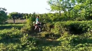 Working hard Stihl fs400