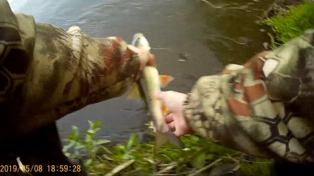 Ловля жереха на воблер смотреть онлайн