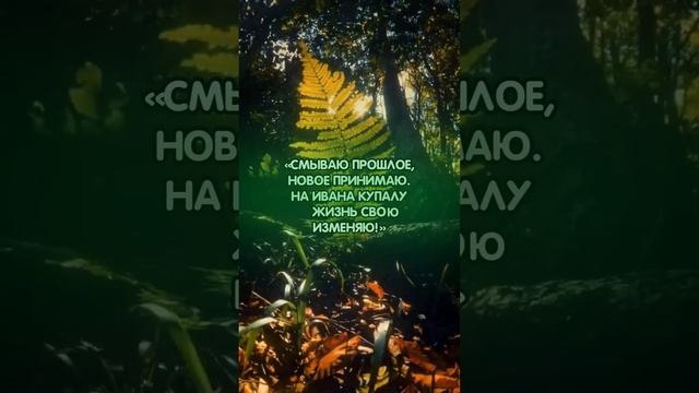 Заговор на Ивана Купалу от черной полосы #аннаwitchтаро #заговоры #магия #шепоток #удача смотреть онлайн