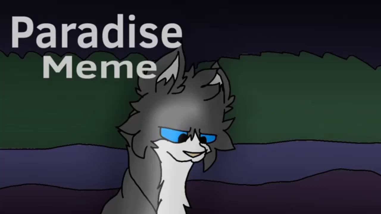 Paradise meme /Warriors Cat's /Cinderplet смотреть онлайн
