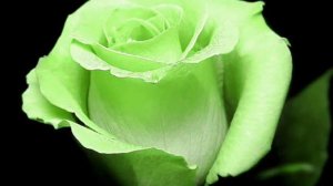 Исцеляющий настрой Сытина на долголетнюю женскую красоту 2.