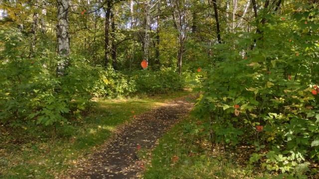 К 5 октября -Дню учителя песня: В этот день осенний хочется поздравить... смотреть онлайн