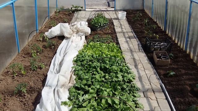 микро обзор на огород смотреть онлайн