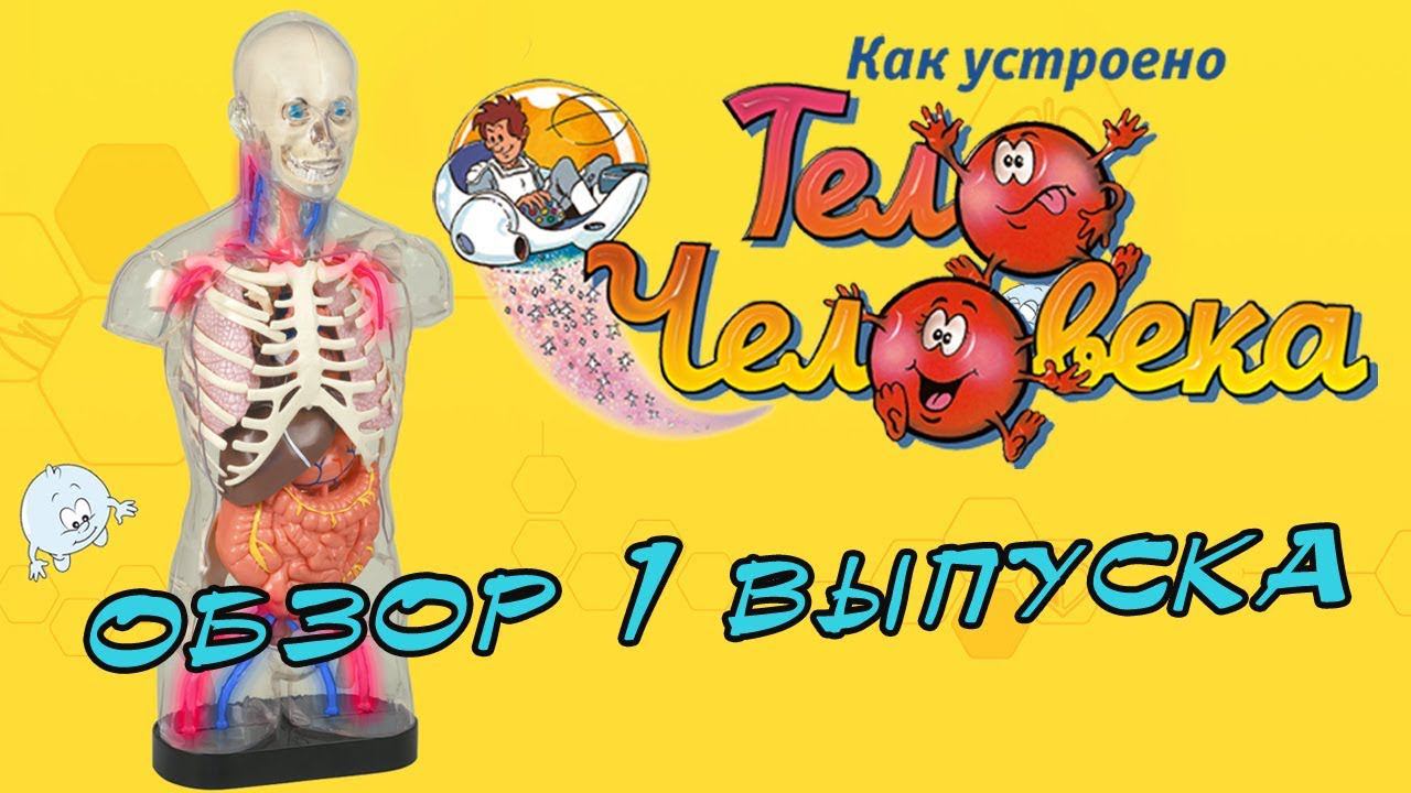 Как устроено тело человека | 1 выпуск | DeAgostini смотреть онлайн
