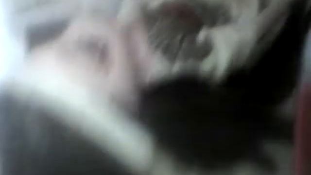 Priyanka kopra смотреть онлайн