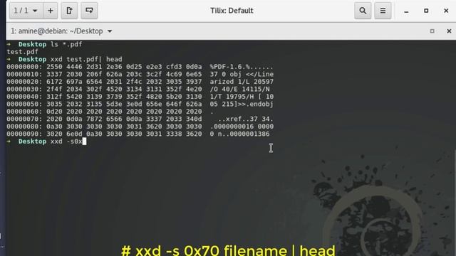 How to Create A Hex Dump Of A File Using The xxd Command In Linux смотреть онлайн