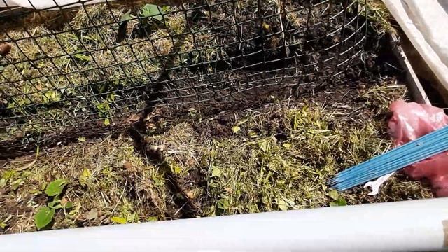 Гости/СЕТКА для огурцов/Турецкий мак распустился!/У блогера лицо во весь экран) смотреть онлайн