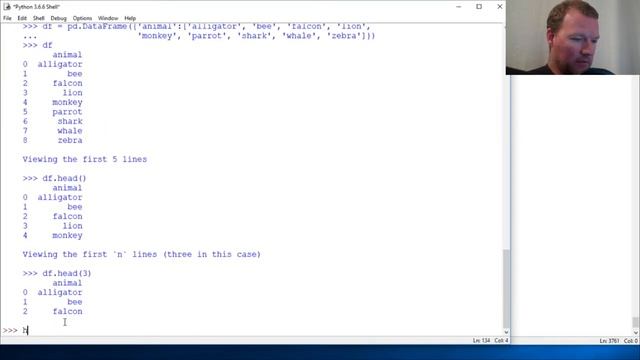Python Basics Pandas DataFrame Head Method смотреть онлайн