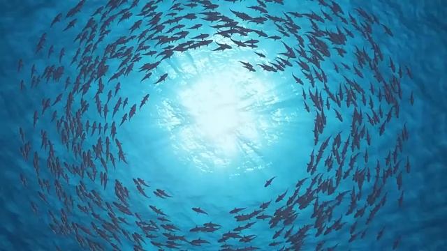 Sleep Deep In 30 Minutes ★︎ Eliminate Subconscious Negativity ★︎ Heal Mind, Body and Soul смотреть онлайн