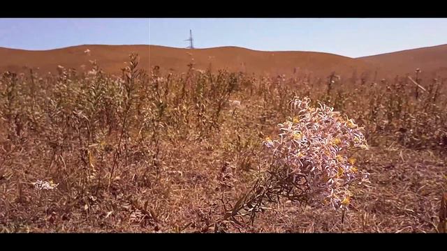 Аффинаж - Счастье (cover) смотреть онлайн