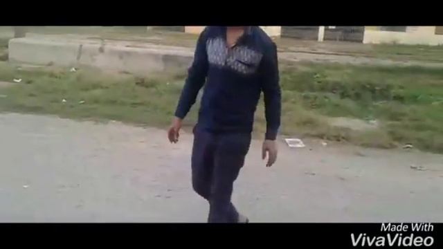 dogs trainer смотреть онлайн