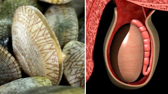 Искусство и Мастерство