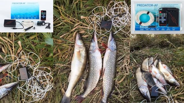 Рыбалка Электронная приманка для рыбы Predator AF Своими руками смотреть онлайн