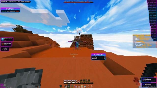 ?ОБЗОР Celestial 1.16.5 BETA? Разнос ReallyWorld с  Celestial Recode 1.16.5?В Видео Подарок?