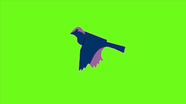 Футаж на хромакее летящий голубь смотреть онлайн