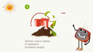 Как растёт цветок? Познавательное видео для детей.