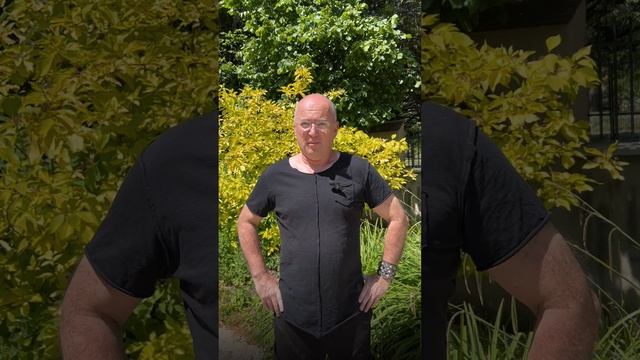 Гедонизм и жизнь смотреть онлайн