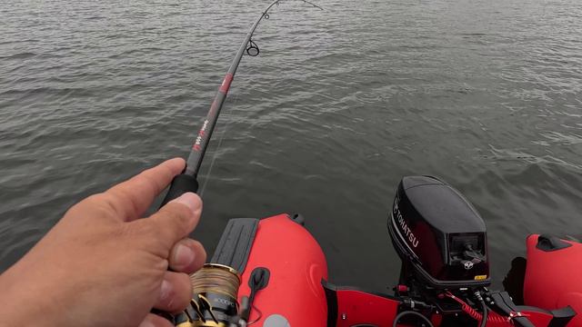 Удачно попал на клёв судака. Рыбалка с Garmin panoptix livescope смотреть онлайн