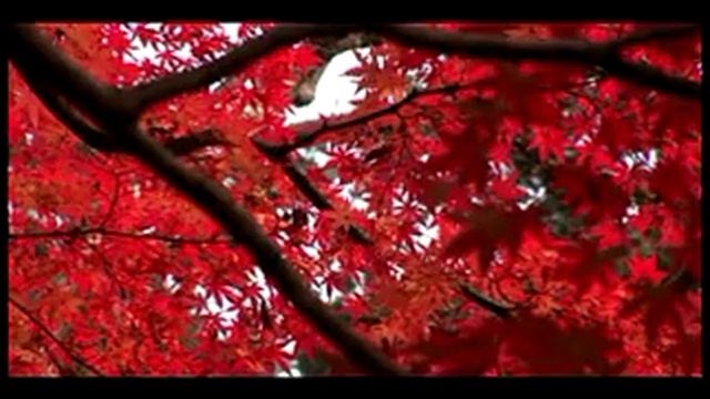 George Epyfanov (Singularity project) - Осенний ветер.avi смотреть онлайн