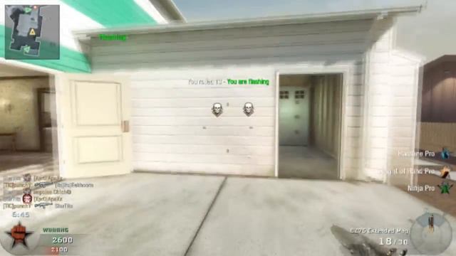 Roll the Dice 1.0 Black Ops COD MOD by Eekhoorn смотреть онлайн