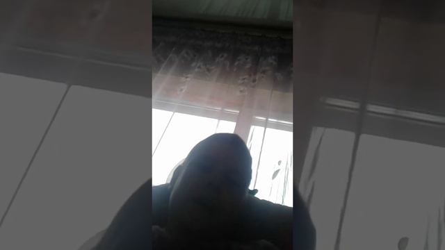 Первое видео на канале мак и роза смотреть онлайн