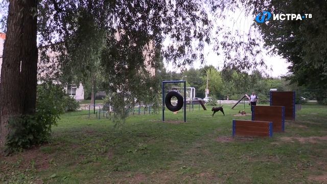 Новая площадка для выгула собак в Истре смотреть онлайн