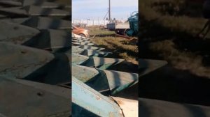 Енисей 967.Уборка подсолнечника 2022