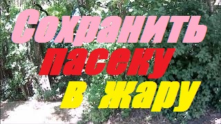 Спасаем пасеку после жаркого лета.Объединяем пчелосемьи.90 ДНЕЙ НЕТ ДОЖДЯ. смотреть онлайн