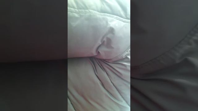 самодельный гусеничник (продам) смотреть онлайн