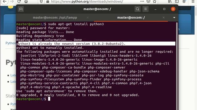 python dasar #1 perkenalan смотреть онлайн