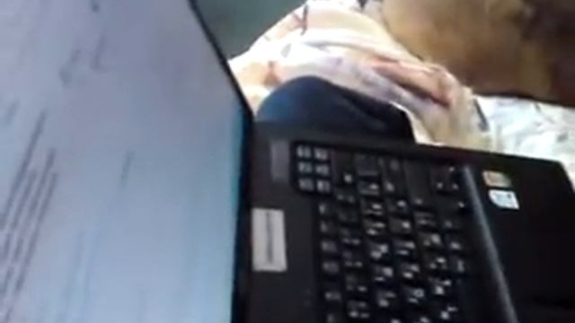 Funny Dog listening to a song and turns the Computer off смотреть онлайн