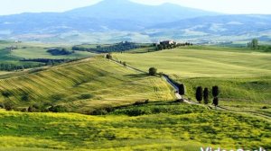 музыка классическая.